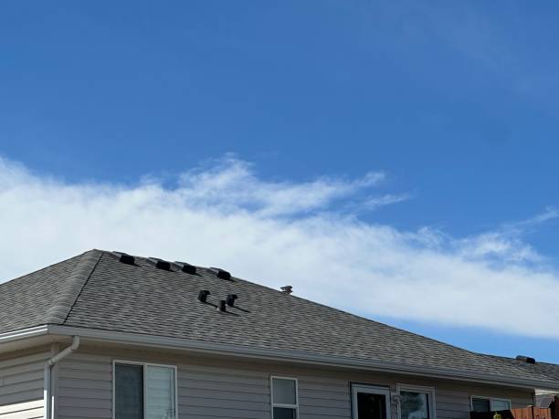 Best Storm Damage Roof Repair  in Reidsville, NC